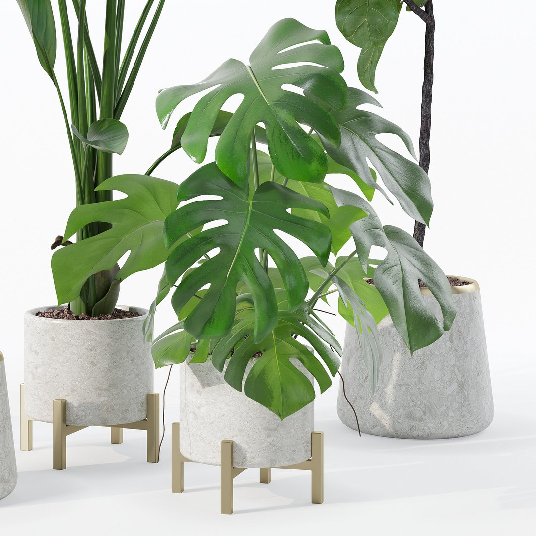3D Model 20 Photorealistic Flowers For Interiors - Set 122 123 124 128 ...