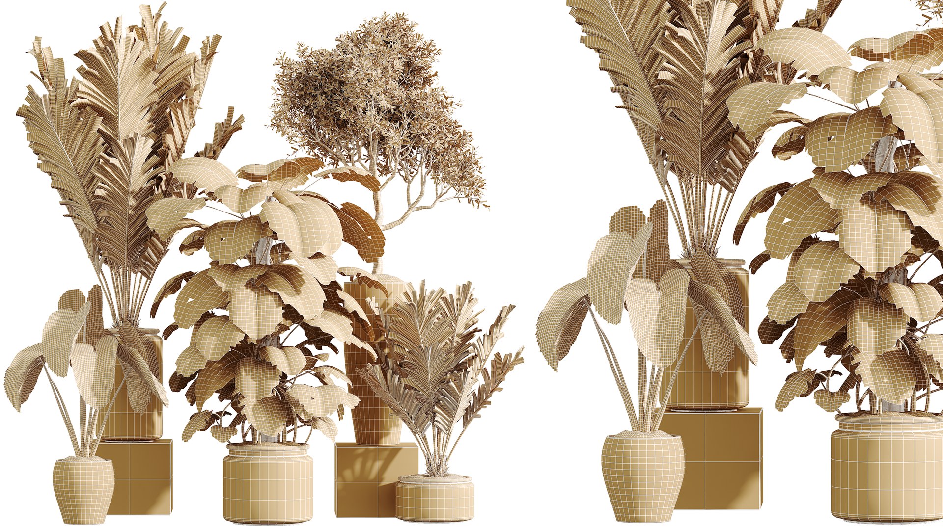3D AV Indoor Plants Set 394 Cyara Palm and Mission olive and Elegant Monstera and Cunjevoi Alocasia https://p.turbosquid.com/ts-thumb/cL/NDIEds/wu/07/png/1760436567/1920x1080/fit_q87/81cf61c4eca5a1bc6dd21d461e3e8d8df4293103/07.jpg