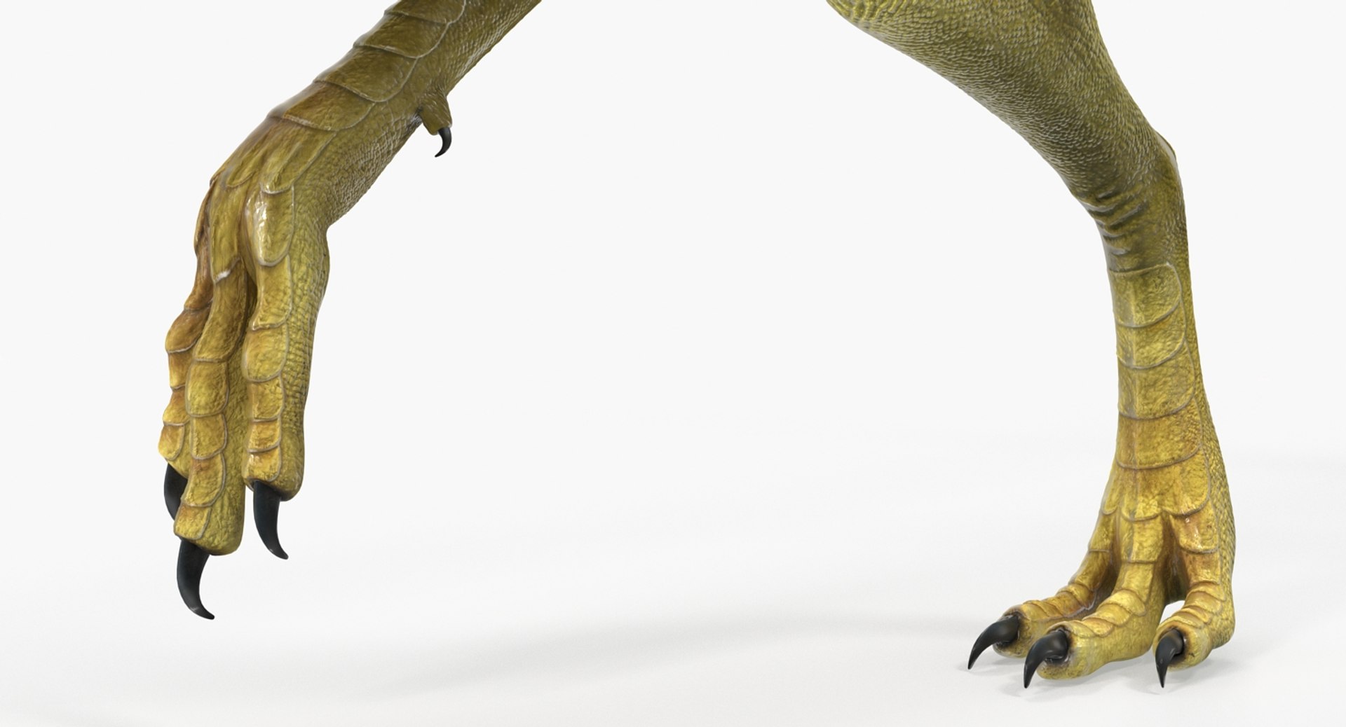 Compsognathus Dinosaur Run Pose 3D, Incl. big & compsognathus