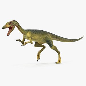 Compsognathus Dinosaur Run Pose 3D Model