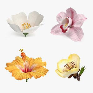 Flowers Collection 16