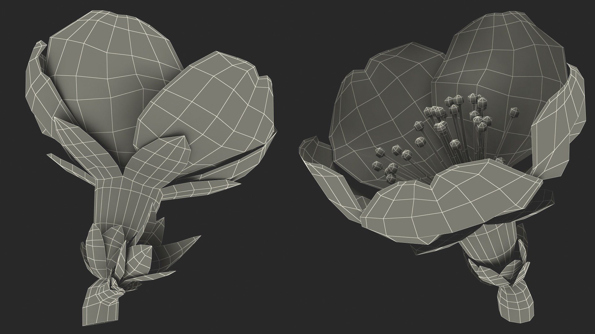 3D Flowers Collection 16 https://p.turbosquid.com/ts-thumb/cL/UMBTGw/mt/flowerscollection16c4dmodel044/jpg/1711450970/1920x1080/fit_q87/c51319ec26b2db56d6a462cf34b4c356ee92342c/flowerscollection16c4dmodel044.jpg