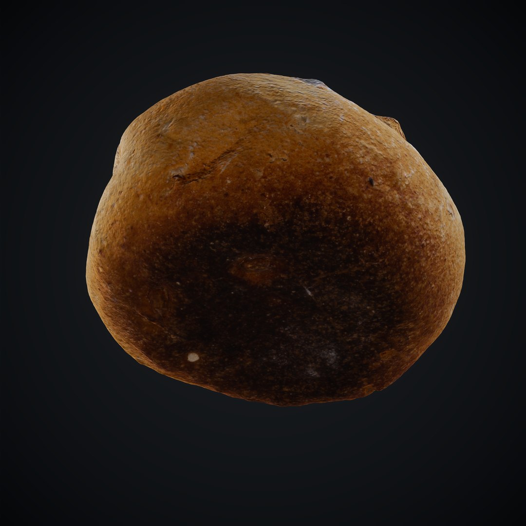 3D model Scanned Buns Pack https://p.turbosquid.com/ts-thumb/cL/ZkxsSV/Vp/bun_02_camera1_fullquality_004/jpg/1654373153/1920x1080/fit_q87/63c93ac0d3bc5624b2c5037fa43169d4b99c24be/bun_02_camera1_fullquality_004.jpg