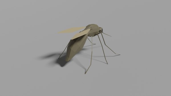 3D Low-poly Mosquito - TurboSquid 1777224