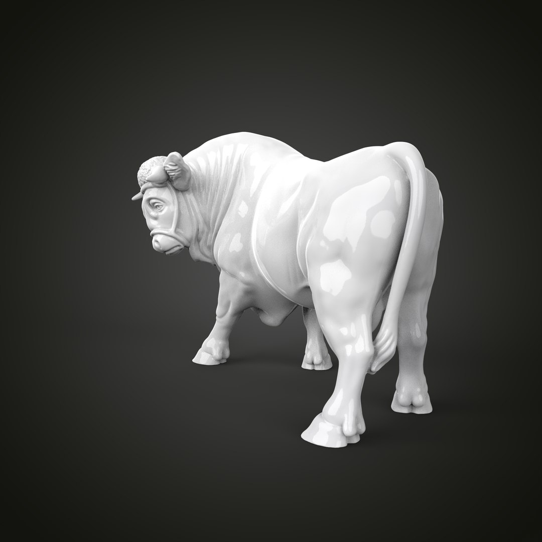 Bull 3D Model - TurboSquid 1873442