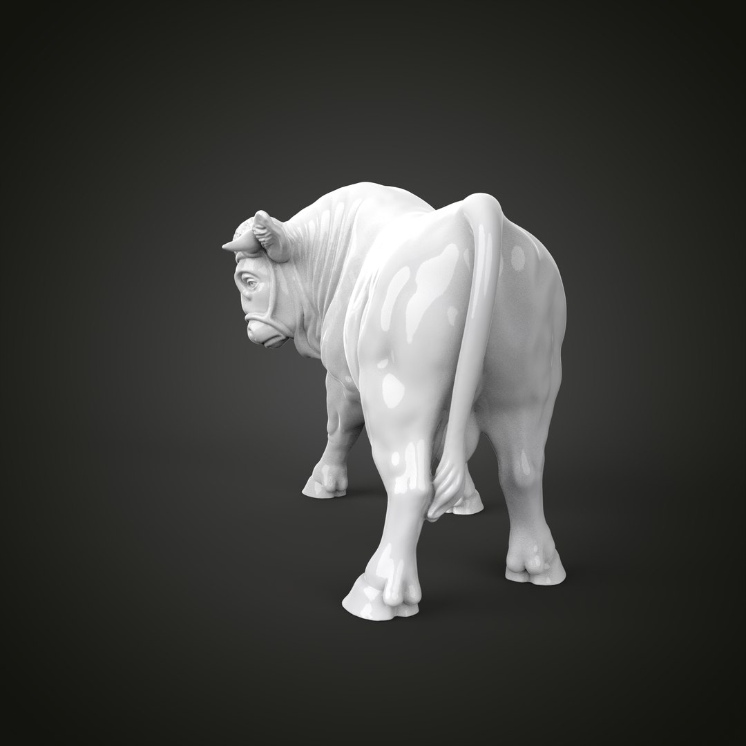 Bull 3D Model - TurboSquid 1873442