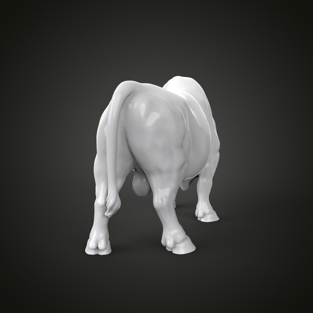Bull 3D Model - TurboSquid 1873442