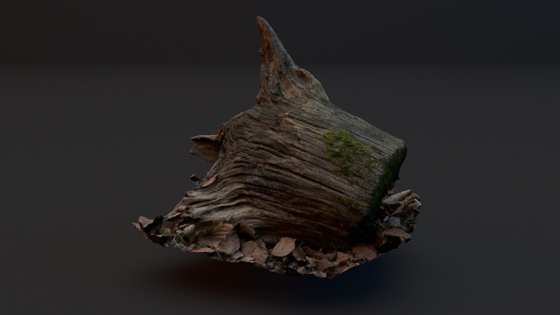 3D tree stump model https://p.turbosquid.com/ts-thumb/cM/369MS8/zdMbLPJo/rotation_bs2/gif/1553378908/1920x1080/fit_q87/e700b2a3e58518c861185da51e9eb9cbad301c5e/rotation_bs2.jpg