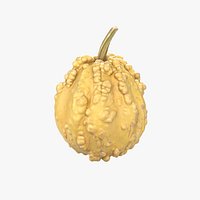 Decorative Pumpkin Gourd 03