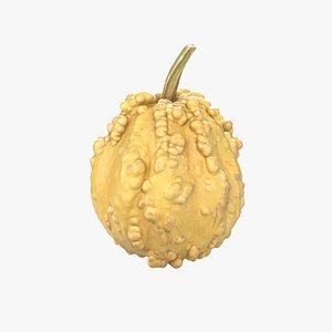 Decorative Pumpkin Gourd 03