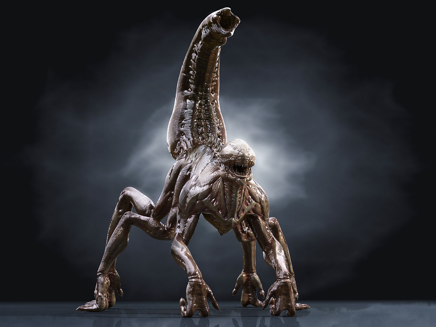 3D Xenomorph Hd Model - TurboSquid 1204224