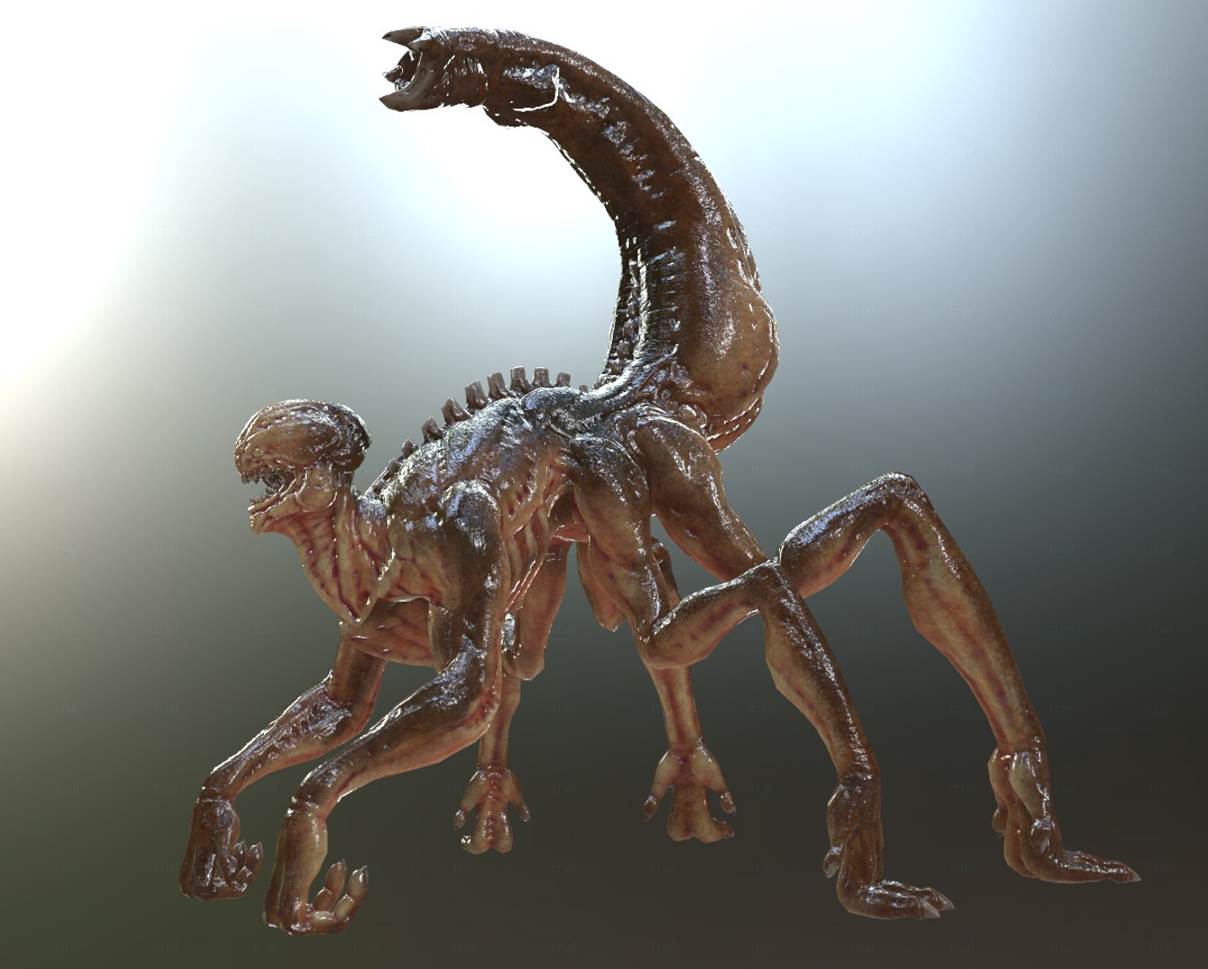 3D Xenomorph Hd Model - TurboSquid 1204224