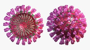 3D model corona virus covid-19