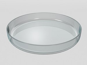 Petri dish