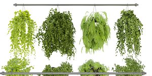 3D Collection plant vol 360 - blender model model