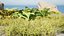 Pack Paysage Nature 3D