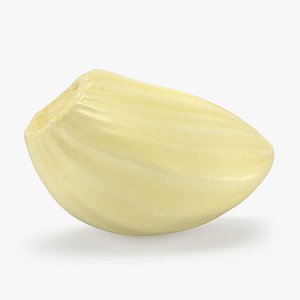 3D Peeled Garlic Clove 02
