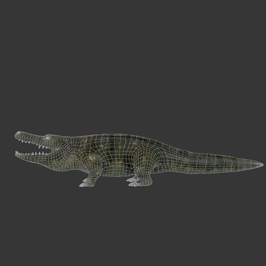 3d Realistic Crocodile