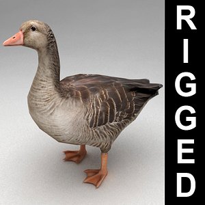 3d max rigged goose