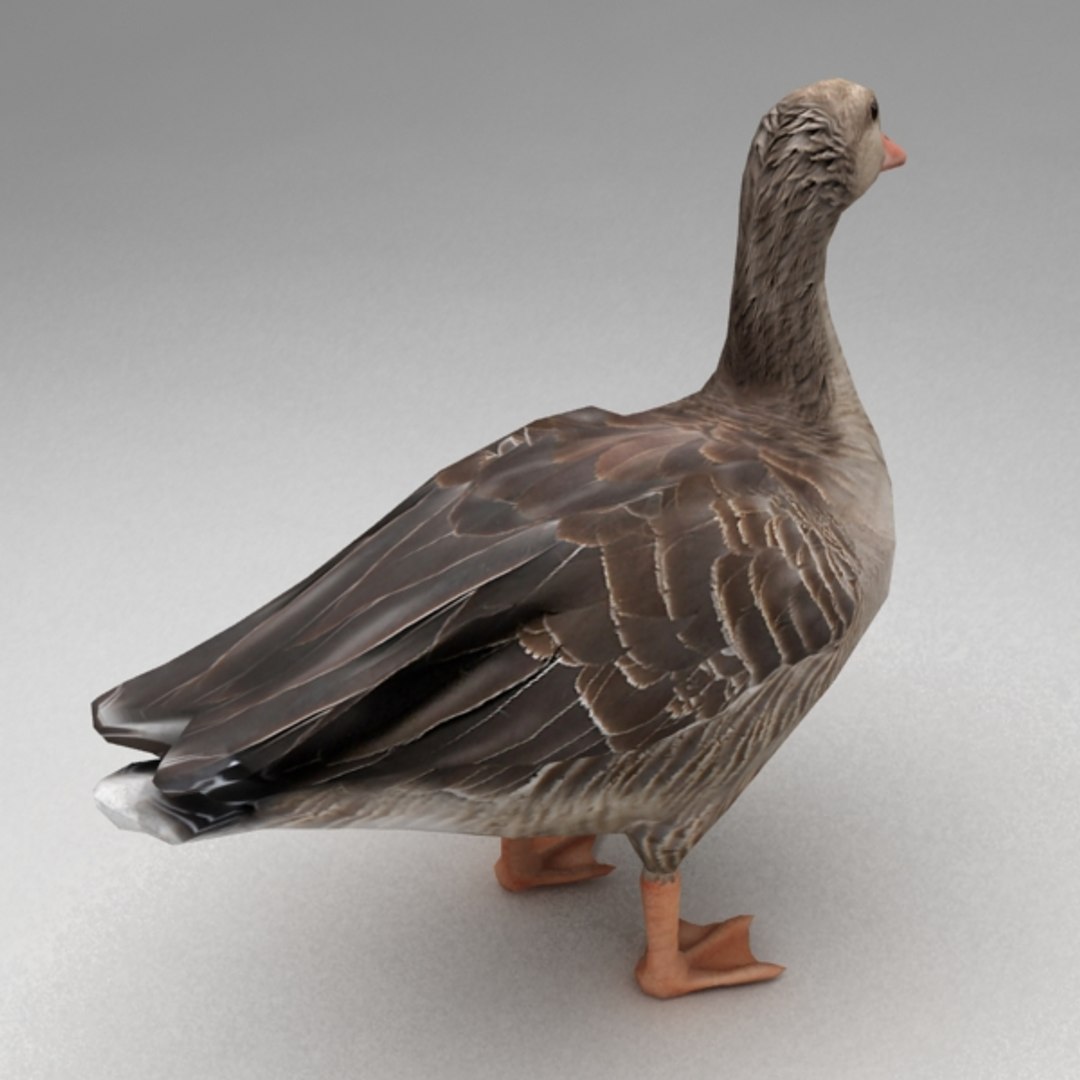 3d Max Rigged Goose