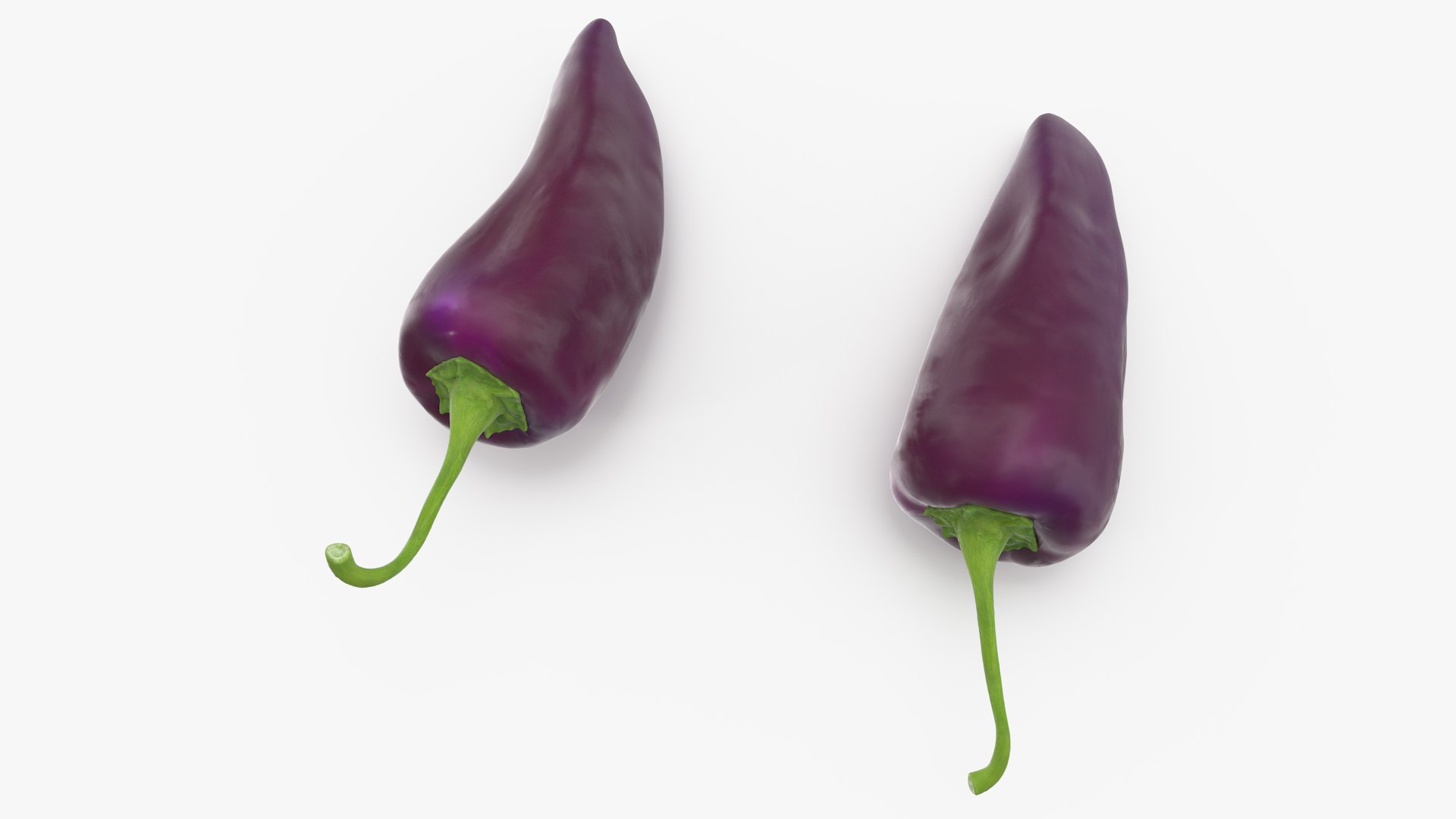 Purple Chili Pepper 3D model preview