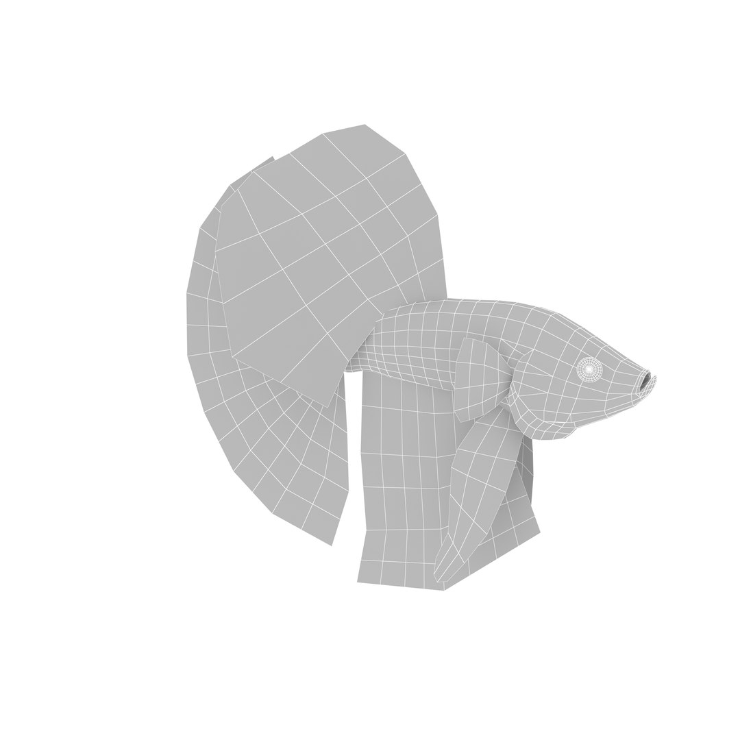 3d model betta fish https://p.turbosquid.com/ts-thumb/cM/z4MT6l/57V4LoDP/grid/jpg/1484558680/1920x1080/fit_q87/253085a60e674d4323e83f6667e010337de59d03/grid.jpg