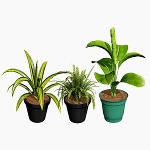 3D Realistic Indoor Plant Collection