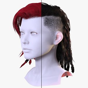 Side-Shaved Braided Hairstyle - Realistic 3D Hair