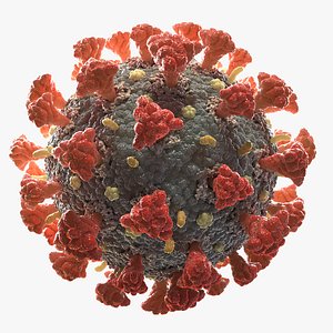 3D coronavirus 02 model