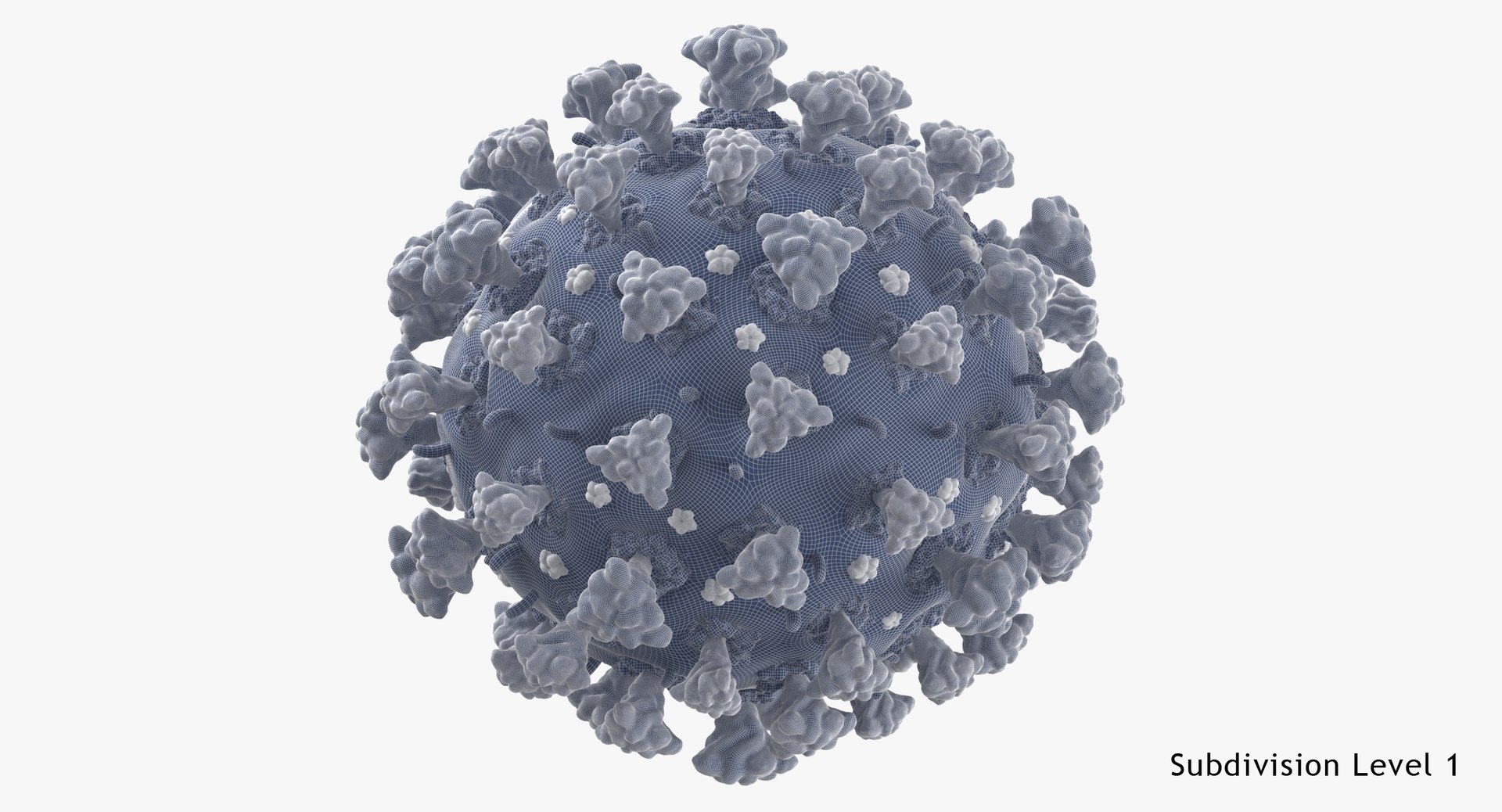 3D coronavirus 02 model https://p.turbosquid.com/ts-thumb/cN/OvopU8/GDHPkY9G/coronavirus_wsubdiv1_0001/jpg/1589537488/1920x1080/fit_q87/ea9b18bb290d4ab4a0f7b84b523b1c372f5f89c5/coronavirus_wsubdiv1_0001.jpg