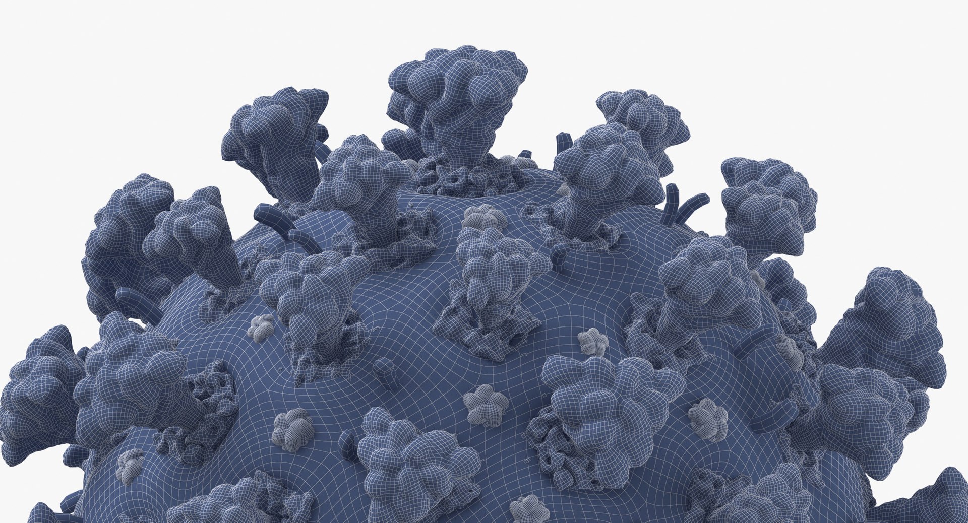 3D coronavirus 02 model https://p.turbosquid.com/ts-thumb/cN/OvopU8/KSOi6h2B/coronavirus_wireframe_002/jpg/1589783556/1920x1080/fit_q87/48f68254b137429c0509e5d611fa5f5991e62b53/coronavirus_wireframe_002.jpg