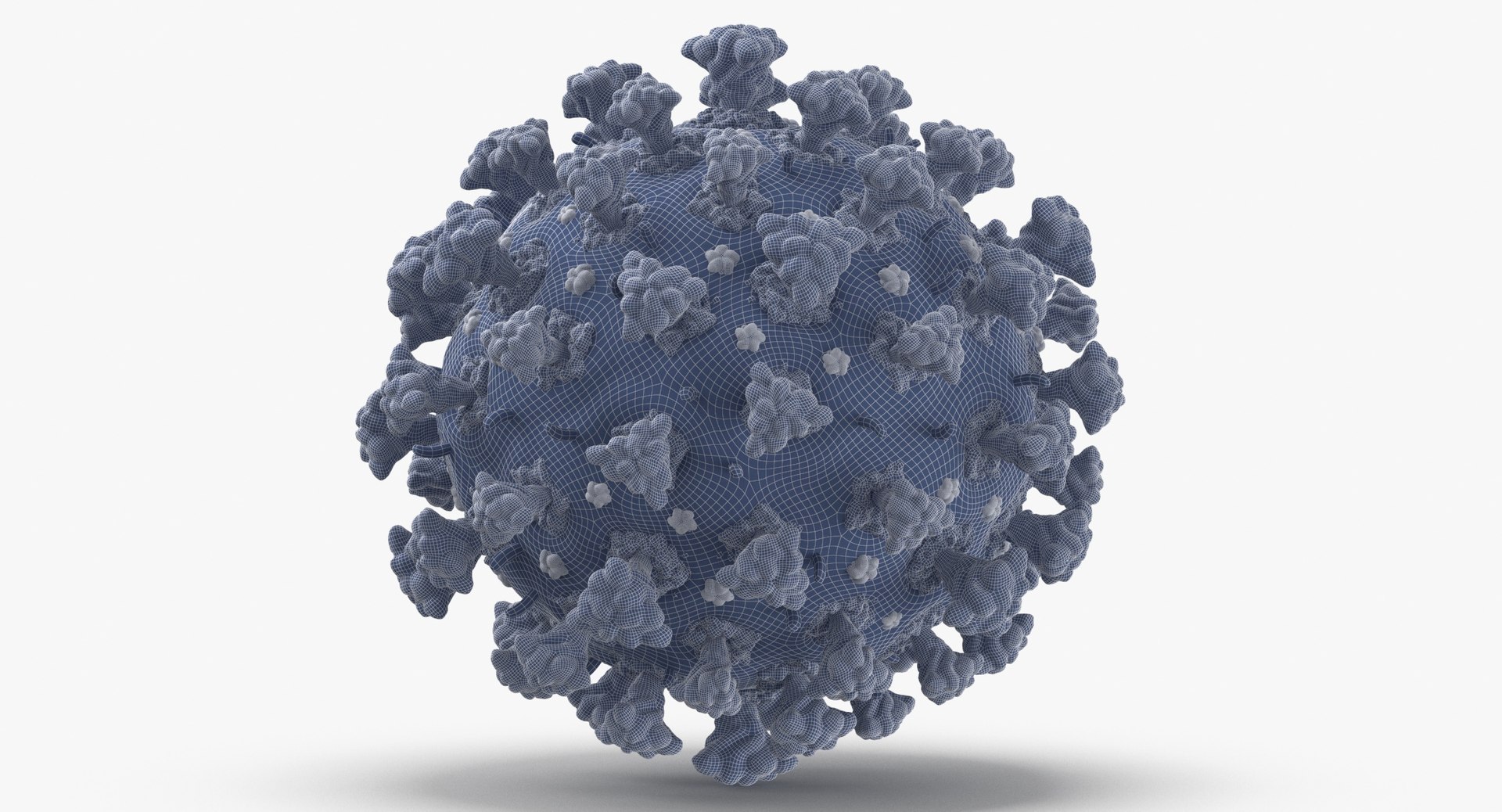 3D coronavirus 02 model https://p.turbosquid.com/ts-thumb/cN/OvopU8/drdsWOEx/coronavirus_wireframe_0001/jpg/1589537488/1920x1080/fit_q87/32db8a47ecd835a8fa61bbd796cb571001cf8d3b/coronavirus_wireframe_0001.jpg