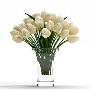 white tulip flowers 3d model