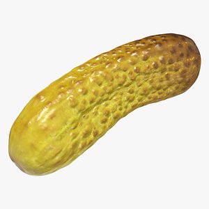 Pickled cucumber 3D