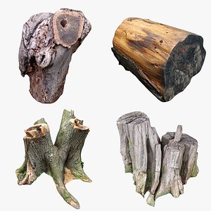 3D model Tree Stump Collection 10