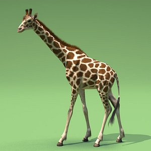 giraffe 3ds