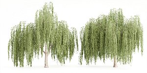 3D collection willow trees vol 23-Blender
