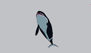 3D Stylized Female Orca