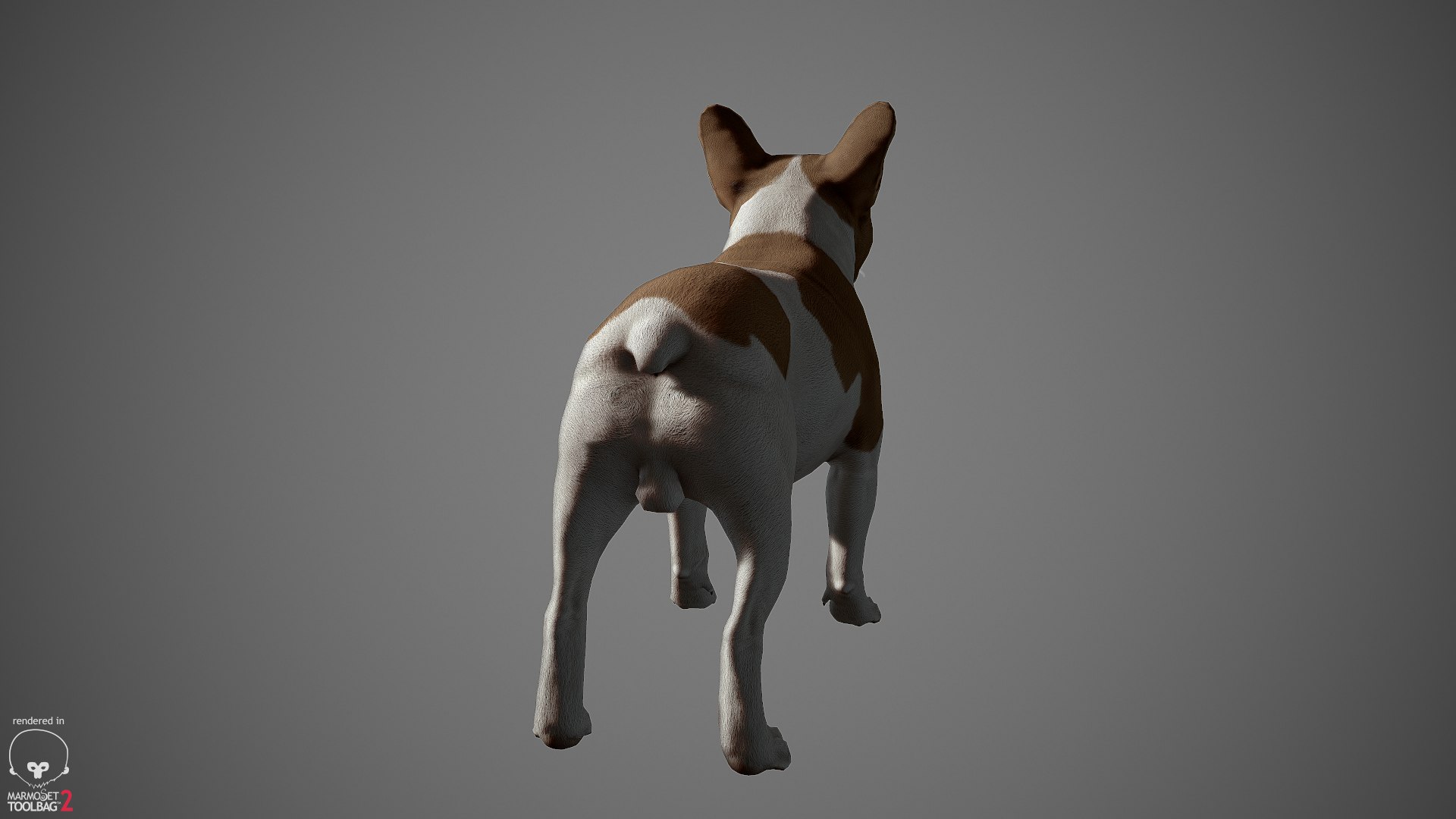 3d model realistic french bulldog real-time https://p.turbosquid.com/ts-thumb/cO/Jt0mri/7ckCcXbZ/frenchbulldog_by_alexlashko_marmoset_08/jpg/1474530390/1920x1080/fit_q87/6aa996bf5e935e1efd1560f4a4c3988622f2ee80/frenchbulldog_by_alexlashko_marmoset_08.jpg