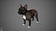 French Bulldog Real-Time