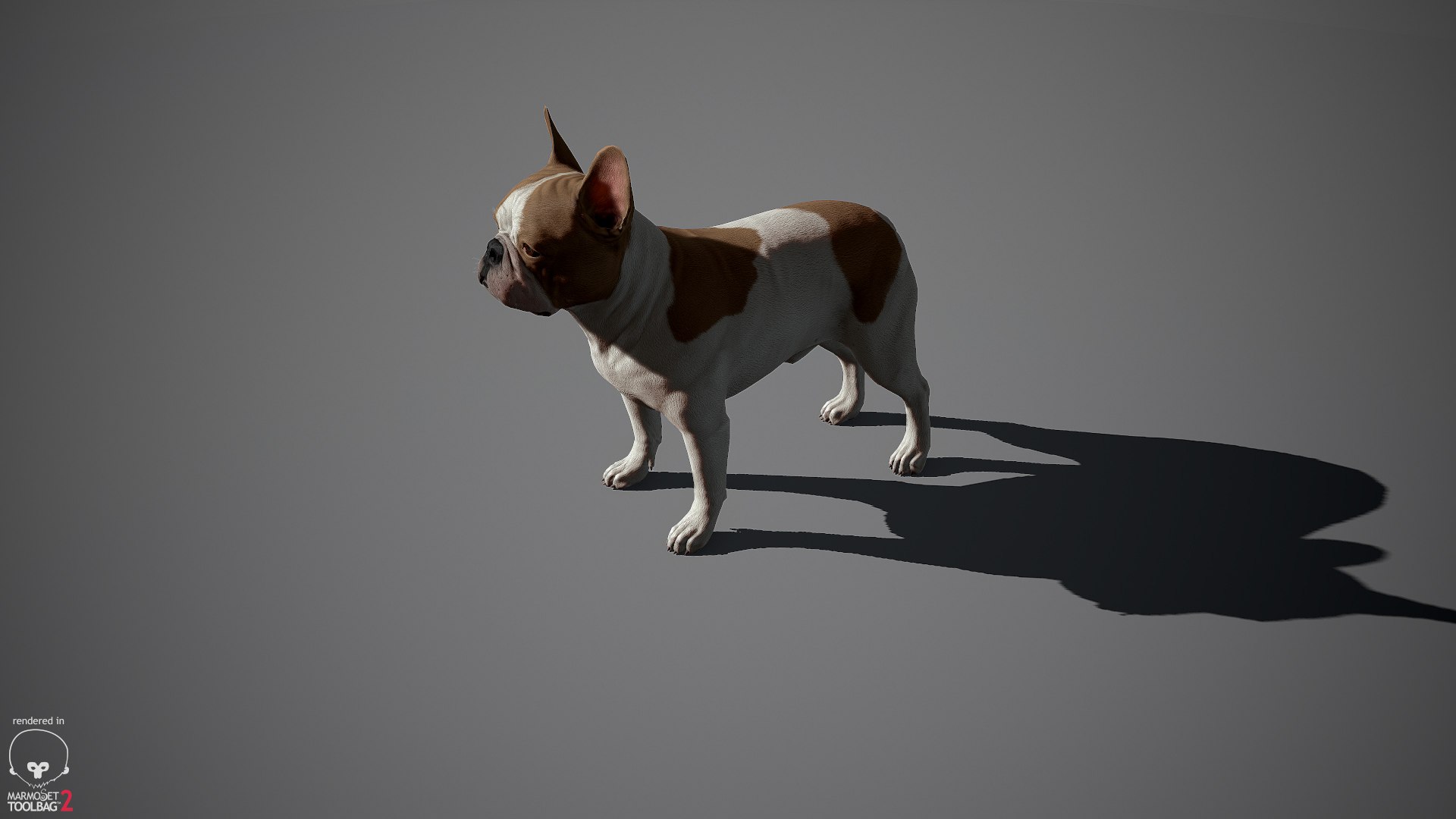 3d model realistic french bulldog real-time https://p.turbosquid.com/ts-thumb/cO/Jt0mri/EkTTgbGu/frenchbulldog_by_alexlashko_marmoset_12/jpg/1474530390/1920x1080/fit_q87/67a8db02cd76541385fc471e1bc41a84dd4ed9d3/frenchbulldog_by_alexlashko_marmoset_12.jpg