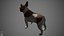 French Bulldog Real-Time