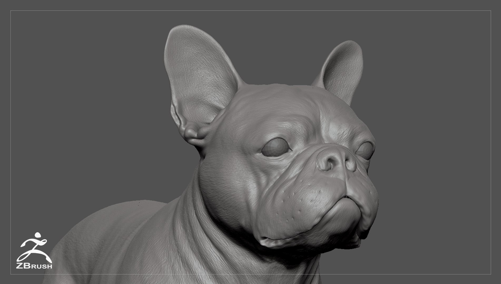 3d model realistic french bulldog real-time https://p.turbosquid.com/ts-thumb/cO/Jt0mri/ZGAMRZbP/frenchbulldog_by_alexlashko_zbrush_05/jpg/1474532037/1920x1080/fit_q87/61972ad8d9095197d8638de2f67f9fe65d4a0bdc/frenchbulldog_by_alexlashko_zbrush_05.jpg