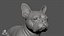 French Bulldog Real-Time