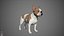 French Bulldog Real-Time