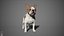 French Bulldog Real-Time