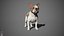 French Bulldog Real-Time
