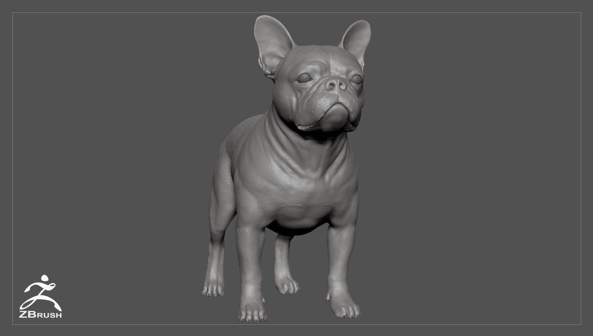 3d model realistic french bulldog real-time https://p.turbosquid.com/ts-thumb/cO/Jt0mri/prnO2aPT/frenchbulldog_by_alexlashko_zbrush_02/jpg/1474532037/1920x1080/fit_q87/0078d6597348bfe4f20261948b847dfe72aba6b8/frenchbulldog_by_alexlashko_zbrush_02.jpg