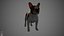 French Bulldog Real-Time
