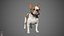 French Bulldog Real-Time